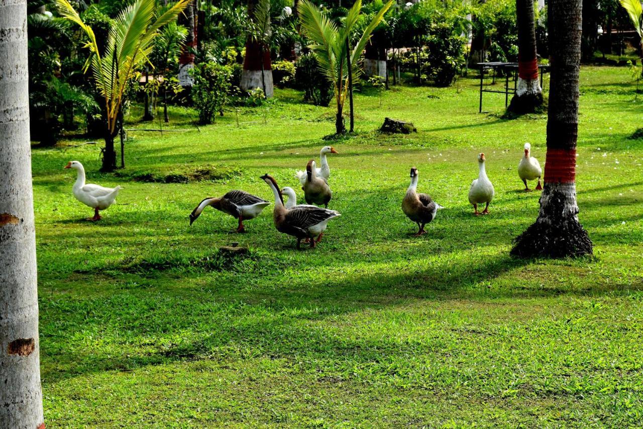 ホテル トシャリ サンズ プリ エクステリア 写真